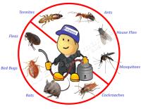 Kent Pest Control image 1